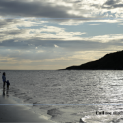 Low Tide Raglan